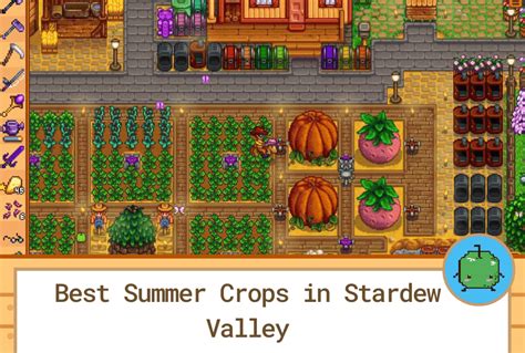 stardew giant crops|most profitable summer crop stardew.